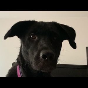 Meet your Posher, Melanie